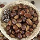 자연농장 이미지