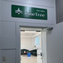 파인트리 | 광화문미용실, 머릿결 손상없는 AVEDA 염색 [파인트리 헤어살롱] 후기