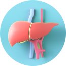 프리빗 PT 스튜디오 이미지