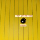 조박사 이미지