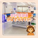 힐링탁구 | 실내데이트로 딱! 감성가득 24시 무인 짱탁구장 경성대점 방문 후기 (feat.2025 전국 짱탁구대회 정보까지)