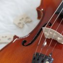 왕초보 바이올린 이미지