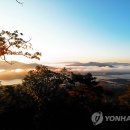 일원본-109 연합뉴스