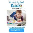 피디엠