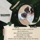 돌봄앤아카데미 네이버블로그