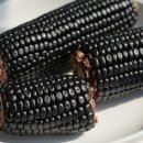 옥과농협 APC 이미지