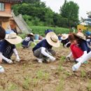 매호리마을회관 이미지