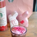 바니베리 | 붉은 로즈 초콜릿 화이트 러브바니 틴 초콜릿 돌체&amp;베리 핑커 초콜릿 세트 구매 후기 핑크 리유저블백까지