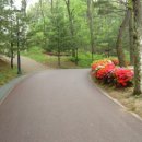 영덕중앙체육관 이미지