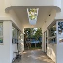 산카페 | [제주도 여행] 나와산 카페 다녀온 후기 (애견동반 가능)