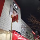 [혼술] 집에서 홈플러스 방어회와 와인으로 저녁 혼술 혼밥