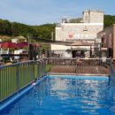 금촌애견 이미지