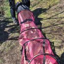 송말낚시터 이미지