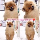 하단동174 이미지