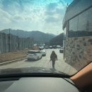 피자앤코(PIZZA&Co ) | [양주브런치카페] 기산저수지 뷰 대형 카페, 브런치앤코(Brunch &amp; Co)