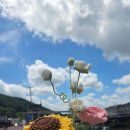 여행 노래연습장 이미지