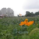 정보농장 이미지