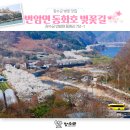 번암죽림정사로 이미지