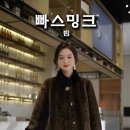빠스밍크(호피밤색) 이미지