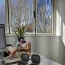 시그니아 독일보청기 연산센터 이미지