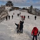 [무주]눈 보러 떠난 덕유산 눈꽃산행❄️ (+ 24년 12월 현황,취사 가능!)