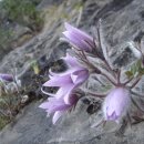 임계중학교 이미지