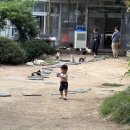 고양이정원 | 서울 아기랑 가볼만한 곳 고양이정원😺