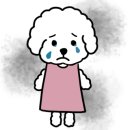 오렌지볼실내테니스장과천