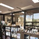 펫홀릭더라이프 이미지