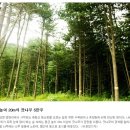 행현1리 마을회관 이미지