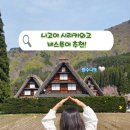 여행 필수 코스! 시라카와고&amp;다카야마 4월 버스투어. 겹벚꽃 당일치기 (마이리얼트립 인디고트래블 할인)