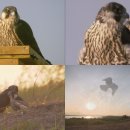 남매농장 이미지