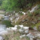 대굴령마을 이미지