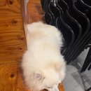 카페히릿 이미지