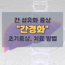 주식회사 차오름 | 간 섬유화 증상 "간경화" 초기증상, 치료 방법