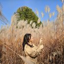 탑동랜드 이미지