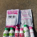 (주)씨알팜 네이버블로그