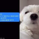 바른피싱 이미지