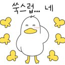 나인홀덤펍 이미지