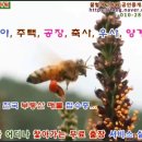 꿀벌아 고마워 공인중개사사무소 이미지