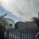 스테이레올 이미지