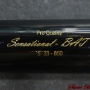 블랙배트 이미지