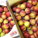 영태농장 이미지