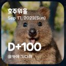 [호주워홀]시드니 쇼핑 / 박싱데이 러쉬할인 / 러쉬가격 / 러쉬추천