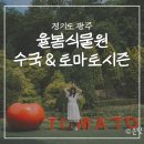 태허정로 | 경기도 광주 가볼만한곳 율봄식물원 수국 입장료 토마토 체험 후기
