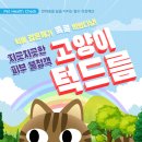 다솜고양이메디컬센터 이미지