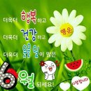 6월 3일 화요일 간추린 뉴스와 날씨 이미지