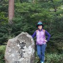 한라산을바라보는쉼터 이미지