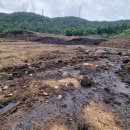 석산축산 이미지