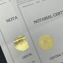 GET VISA WITH ME | 스페인 교환학생 공증 &amp; 아포스티유 편